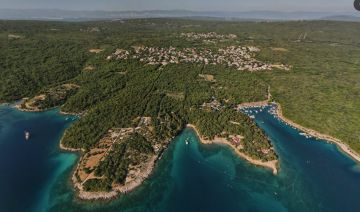 original_1758394376_maslinik-pinezici-privremena.jpg