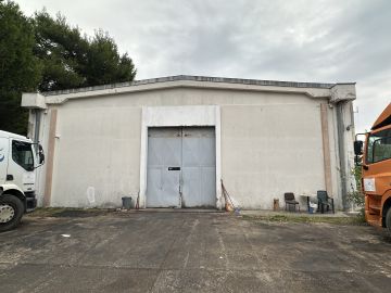 original_1761132932_img_8151.jpg