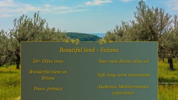 original_1765017425_beautiful-land-fazana.jpg